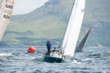 oystercatcher 3245c whyw16 thur 800 3823w